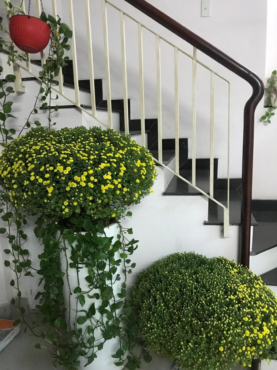 Vanapartment Πόλη Χο Τσι Μινχ Εξωτερικό φωτογραφία